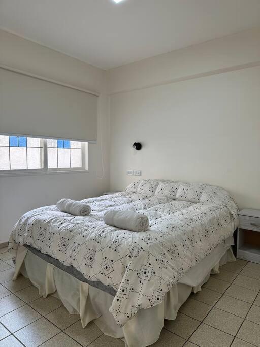 Punto Civico Apartment Mendoza